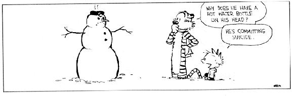 calvin6.jpg